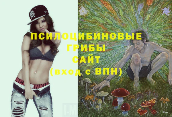 шишки Бронницы